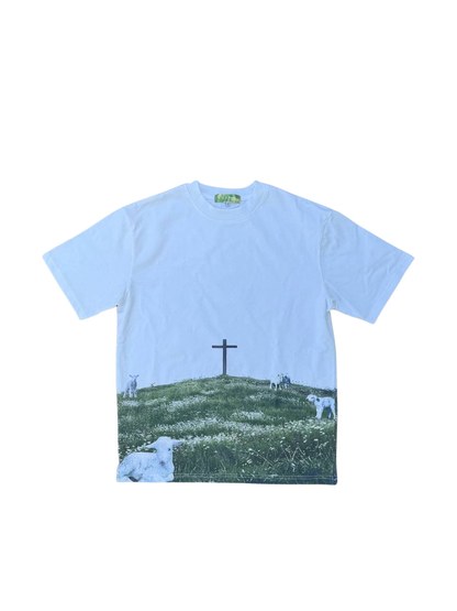 Trials and Tribulations Collection